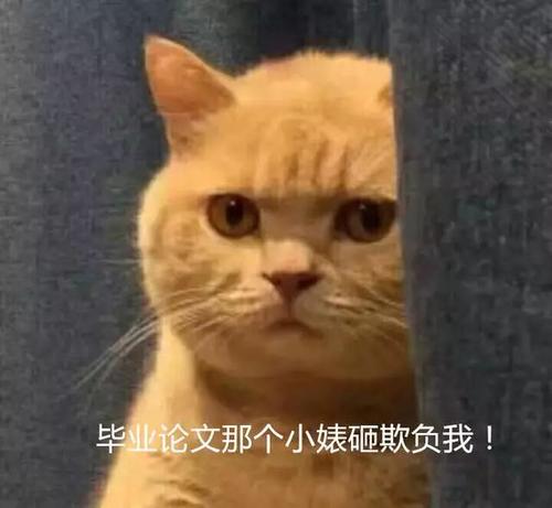 独特的感觉