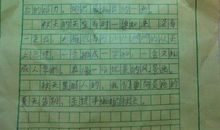 假如我是一只蝙蝠二年级作文