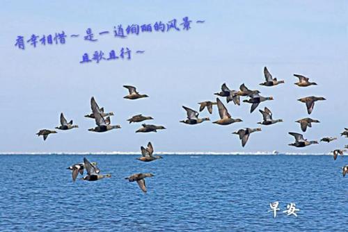 只有一群人