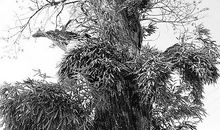 那一段异彩纷呈的时光