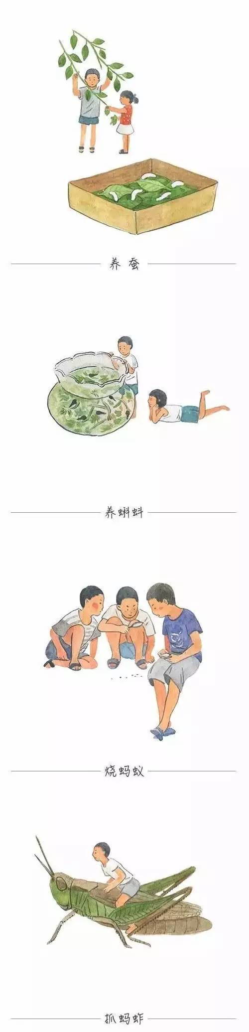 我的童年动物伴侣