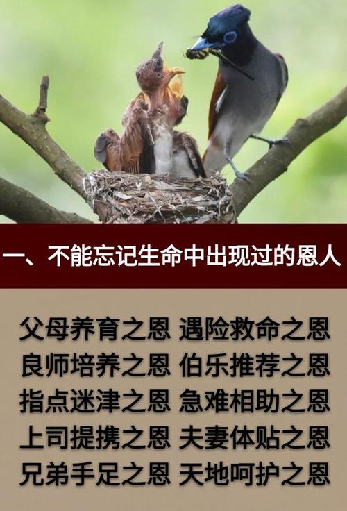 不要忘记父母养yake _750字