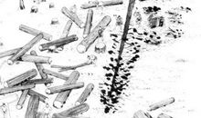 欢迎来到共享时代