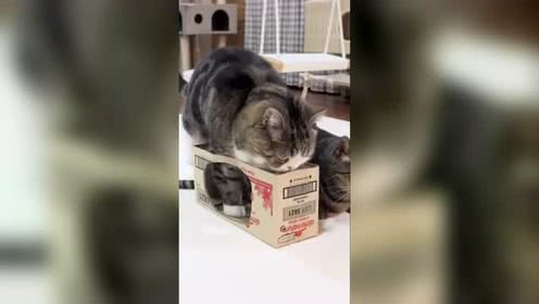 那场景真的很震惊。