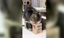 那一幕真令我心惊