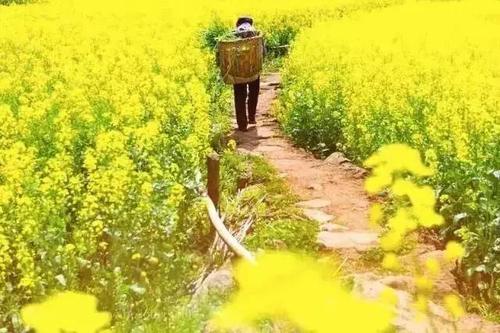 在这个春天