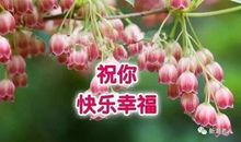 最美的是那一声问候