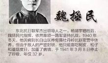 智慧思想与不屈精神换来的和平