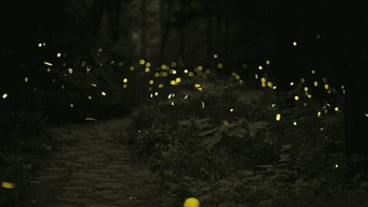 童年夏天夜晚星空