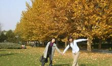 在秋风吹起的地方