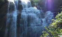 让梦想之树葱郁长青