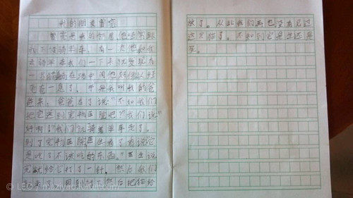 可爱的猫组成