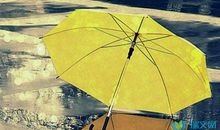 我记忆中的那把伞