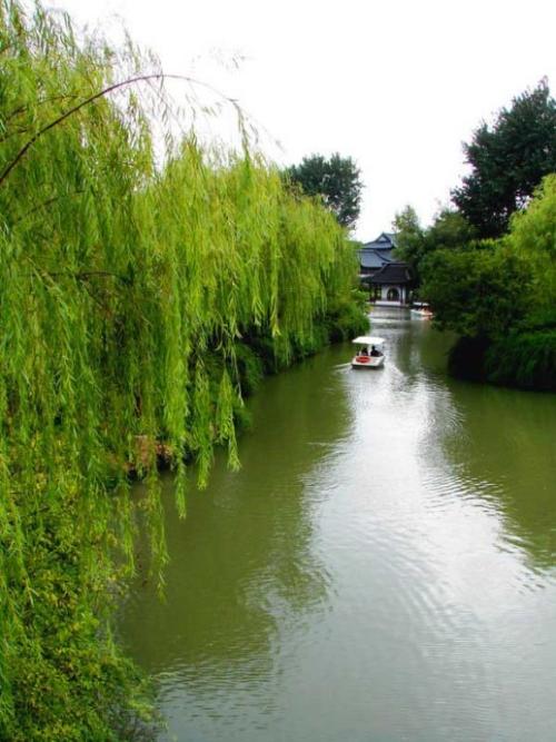 Charling Sweet West Lake