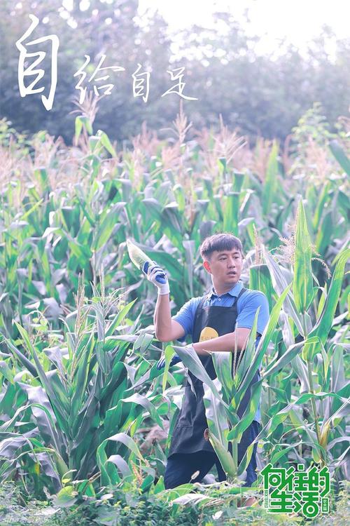 我想渴望生活。