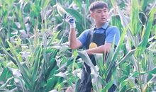 我想向往这样的生活