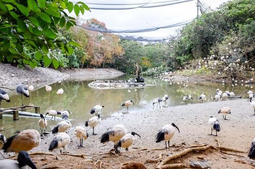 难忘的动植物公园之旅