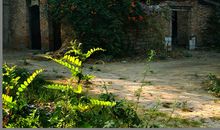 感思清晨的一缕阳光