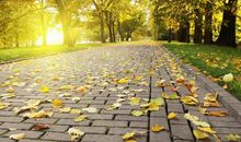 满满阳光的回忆