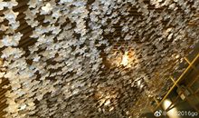 扎根光明穿越黑暗