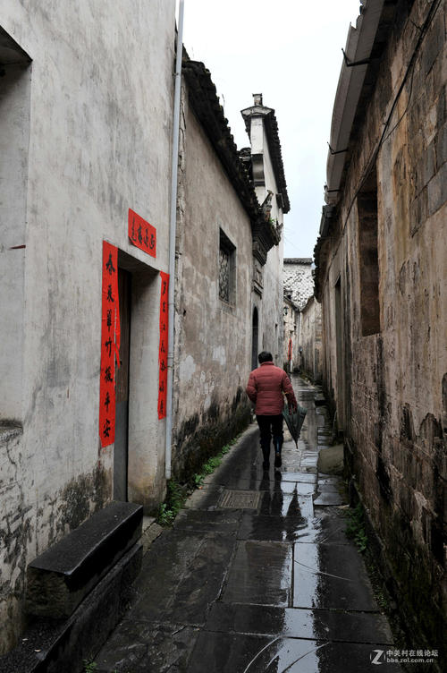雨中的印象