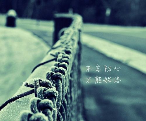 追求没有忘记