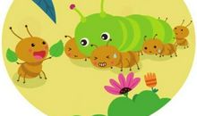 观察蚂蚁搬梨核的启示