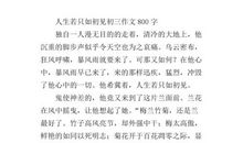 苦趣作文800初三