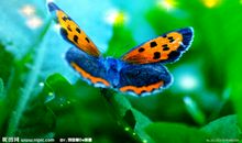 生命因自信而美丽