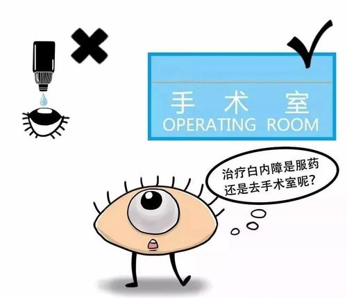 感人的测试
