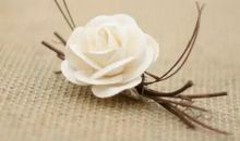 一件委屈的往事