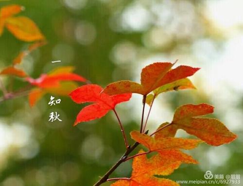 追逐秋天