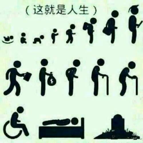 这就是生活