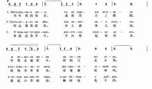 妈妈，我亲爱的妈妈