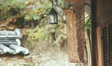 难免会难过，然后释怀