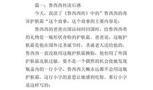 鲁西西传读后感