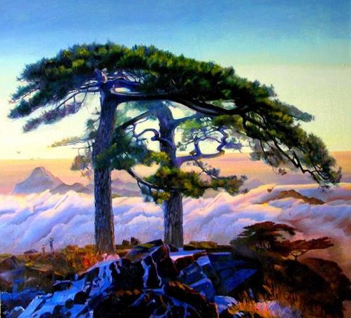 天与松树林的日子