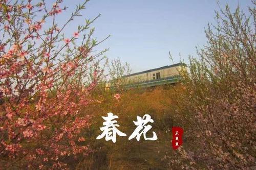 与你一起