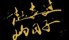 与星光一起走过的日子