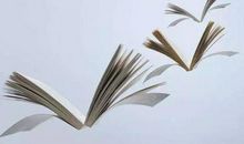 信任是友谊的桥梁