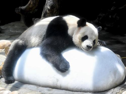 他的生命没有错