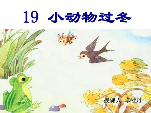 冬天后第二年写了小动物