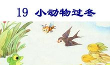小动物过冬续写第二年春天