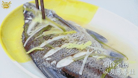 躲在鱼中的温暖情况