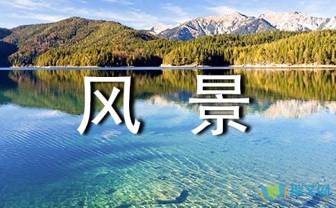 在我的心里的景观构成