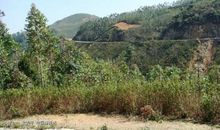 我和父亲爬山坡