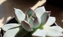 阳光给予的感动