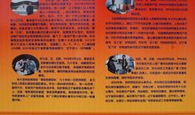 道德模范故事观后感