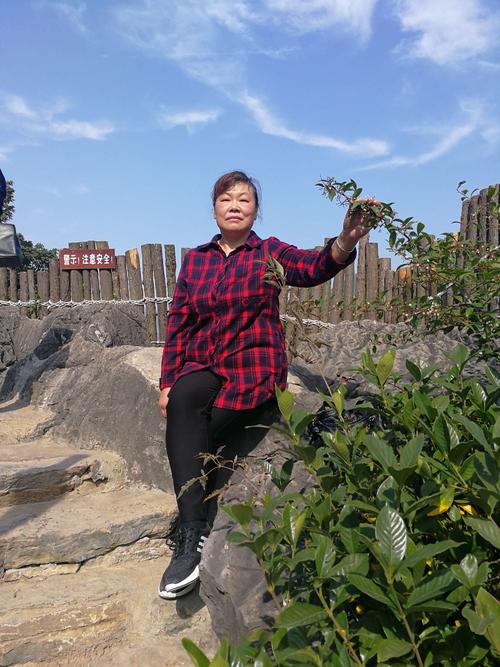 水果摇滚乐