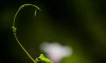 被牵挂也是一种爱